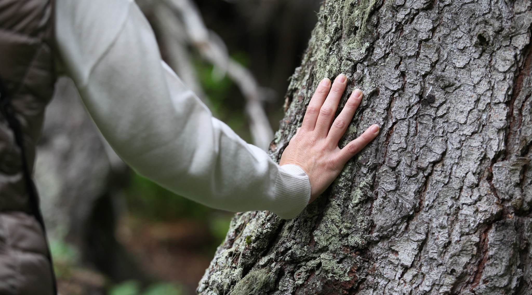 Vivere meglio grazie al legno