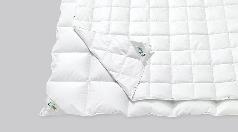 Royal