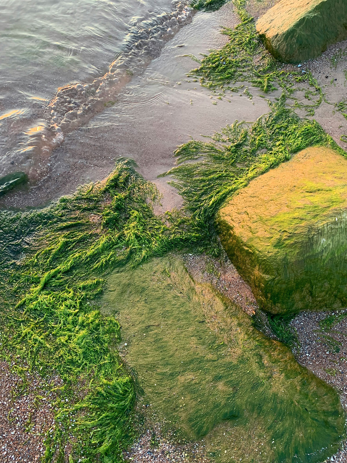 9 section image