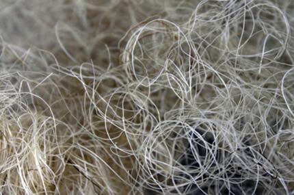 Concerto Raw materials: Mixed horsehair