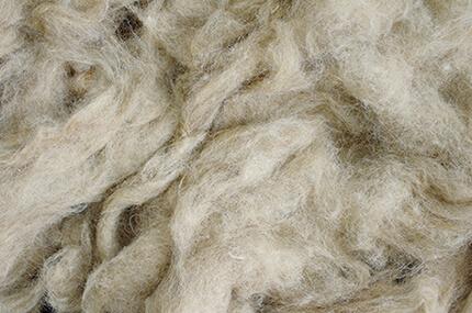 Maestro Raw Materials: Alpaca wool
